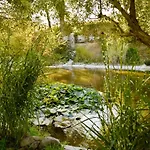 La Campagne St Lazare - Restaurant D'hotes Piscine & Spa Forcalquier