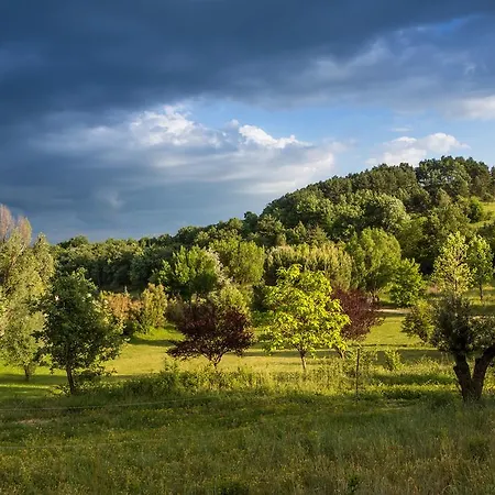 Pensión La Campagne St Lazare - Restaurant D'hotes Piscine & Spa Forcalquier