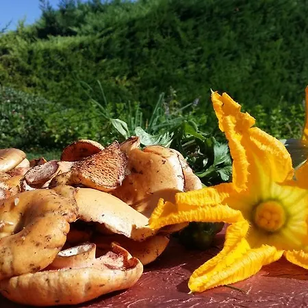 La Campagne St Lazare - Restaurant D'hotes Piscine & Spa Gæstehus