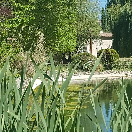 La Campagne St Lazare - Restaurant D'hotes Piscine & フォルカルキエ