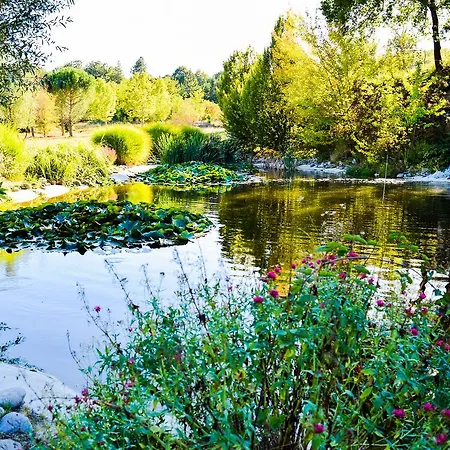 La Campagne St Lazare - Restaurant D'hotes Piscine & Spa Gæstehus Forcalquier