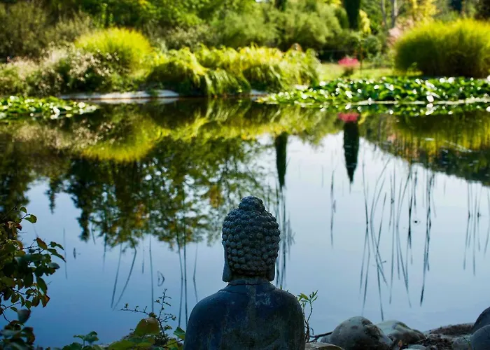 La Campagne St Lazare - Restaurant D'hotes Piscine & Spa 3* Forcalquier