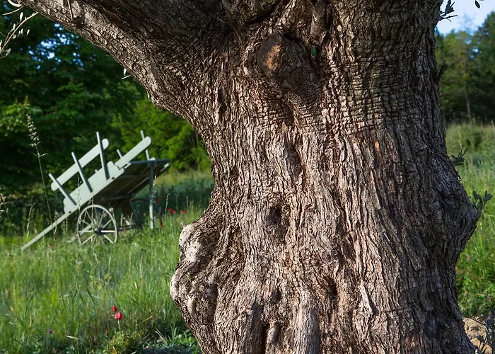 La Campagne St Lazare - Restaurant D'hotes Piscine & Spa Guest house Forcalquier