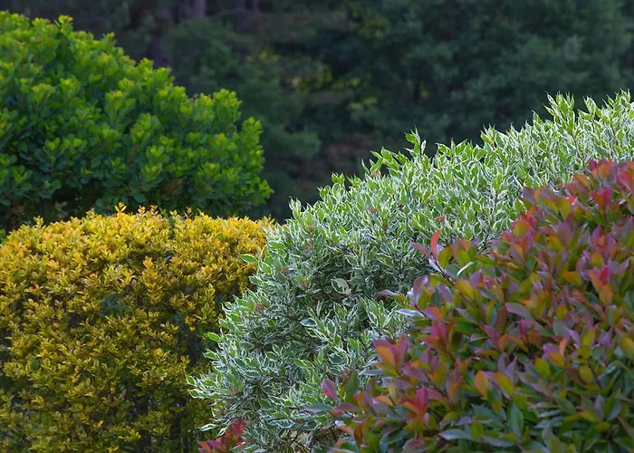 La Campagne St Lazare - Restaurant D'hotes Piscine & Spa 3* Forcalquier